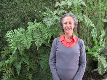 fundacion casa de la paz2