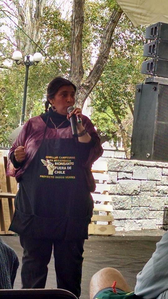 12049243_10153722393189310_2896172530437793490_n