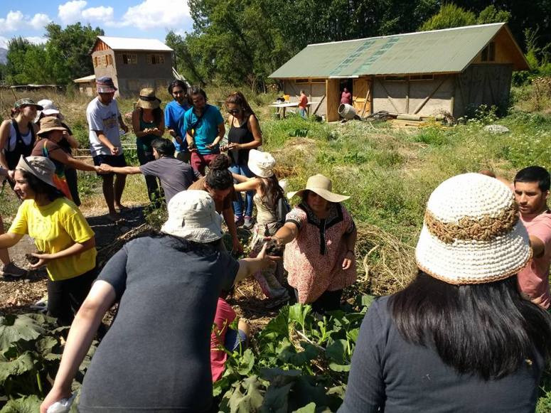 16388439_1565020396844836_1809900927024412646_n