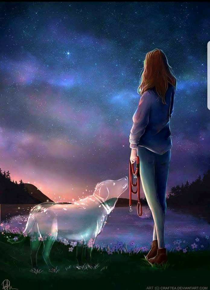 27540871_1617224868368824_6625940096300925671_n